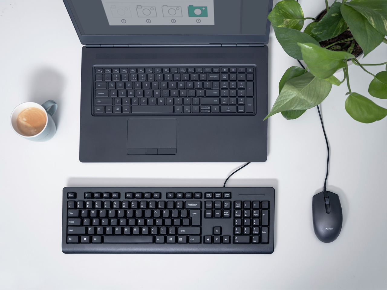 023743b6525438a8404083b101912296 Trust TM-101 mouse Office Ambidextrous Optical 1200 DPI