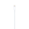 0a861a39e106792cafae67768ba91bf5 Apple Lightning to USB Cable (1m)