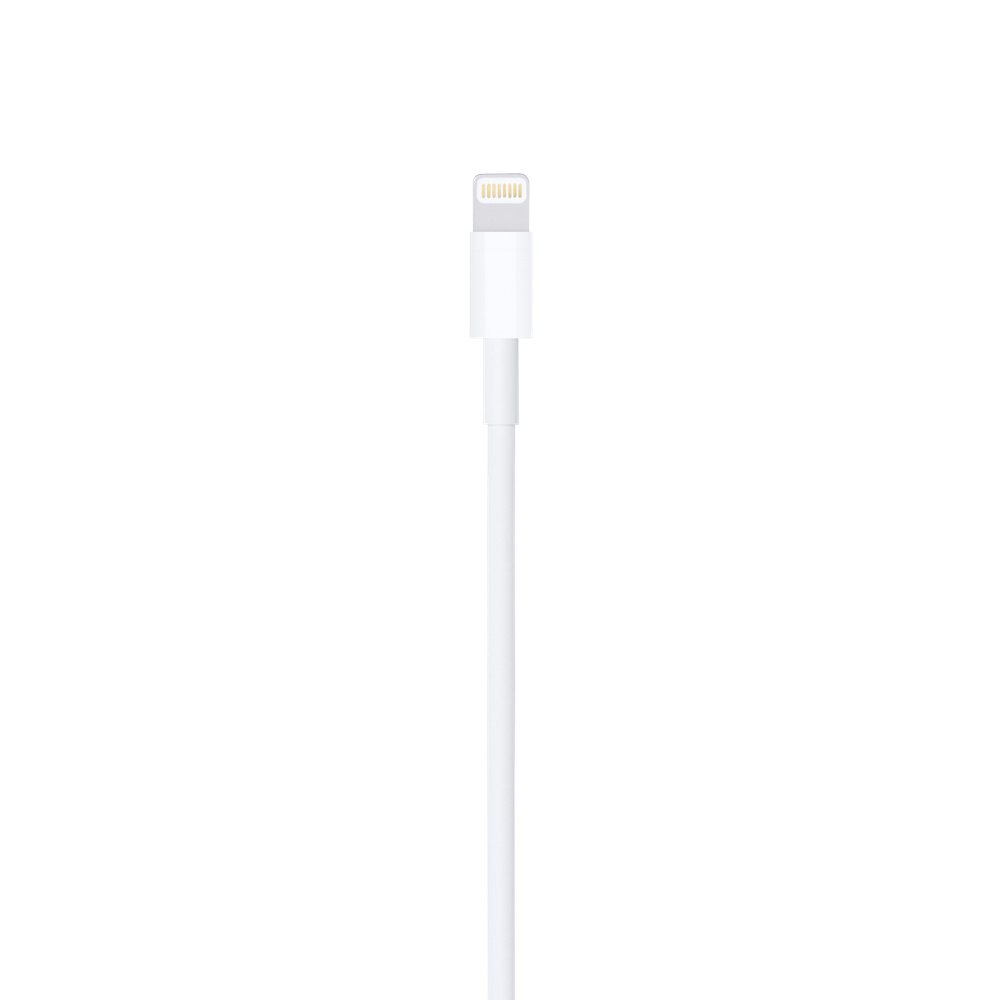 0a861a39e106792cafae67768ba91bf5 Apple Lightning to USB Cable (1m)