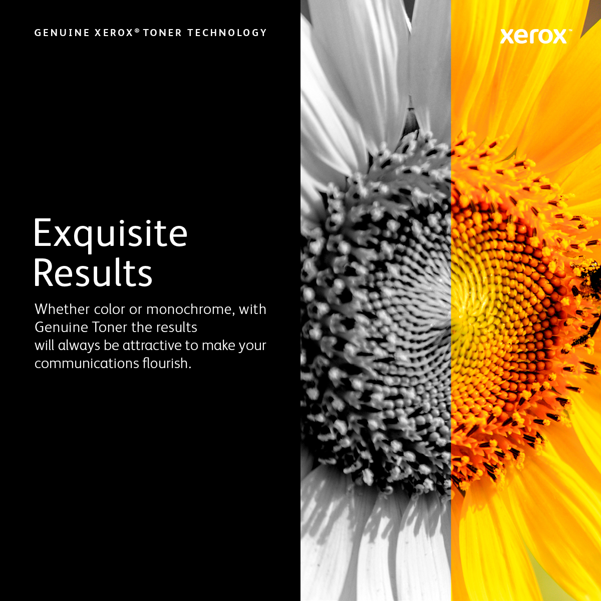 1588353_4734921635 Xerox 006R01459 Toner magenta, 15.000 pages for Xerox WC 7120