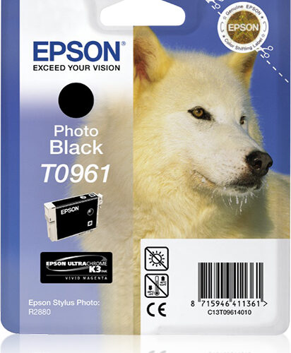1601792_6783573363 Epson C13T09614010/T0961 Ink cartridge black, 495 pages 11.4ml for Epson Stylus Photo R 2880