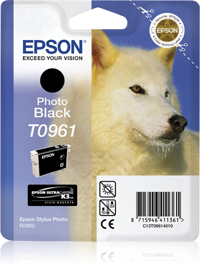 1601792_6783573363 Epson C13T09614010/T0961 Ink cartridge black, 495 pages 11.4ml for Epson Stylus Photo R 2880