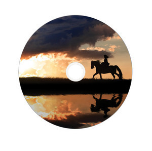 2059468_3290 Verbatim DVD+R Double Layer Wide Inkjet Printable 8x