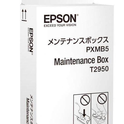 24676119_5178230073 Epson C13T295000/T2950 Maintenance-kit, 50.000 pages for Epson WF-100 W