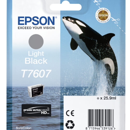 Epson C13T76074010/T7607 Ink cartridge gray, 1.000 pages 25,9ml for Epson SC-P 600