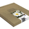 Epson C13T18064511/18 Ink cartridge multi pack Bk,C,M,Y Easy Mail 175pg + 3x180pg, 1x 5ml + 3x 3ml Pack=4 for Epson XP 30