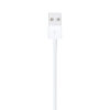 5729814f5a7aa7ebc7585570d9f569af Apple Lightning to USB Cable (1m)