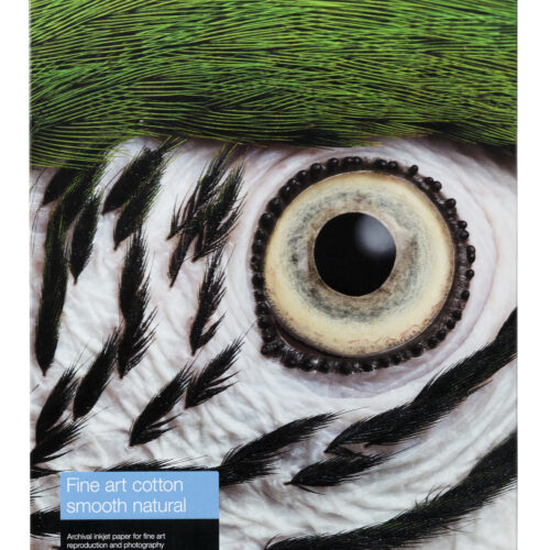 Epson Fine Art Cotton Smooth Natural A2 25 Sheets