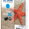 Epson C13T03A24010/603XL Ink cartridge cyan high-capacity, 350 pages 4ml for Epson XP 2100