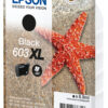 Epson C13T03A14010/603XL Ink cartridge black high-capacity, 500 pages 8.9ml for Epson XP 2100