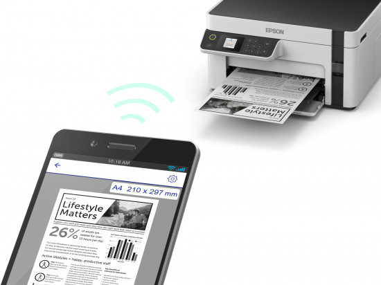Epson EcoTank ET-M 2120 Multifunction InkJet (C11CJ18401)