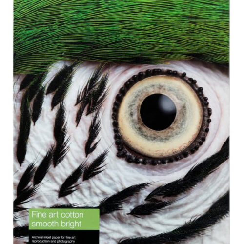 Epson C13S450275NQ printing paper A3+ (330x483 mm) Smooth 25 sheets Multicolour