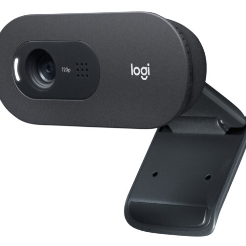 Logitech C505e