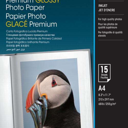 Epson C13S042155 High-glossy-film Premium 15 sheet DIN A4 255g/m² for InkJet