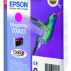 Epson C13T08034011/T0803 Ink cartridge magenta, 220 pages ISO/IEC 24711 7.4ml for Epson Stylus Photo P 50/PX/PX 730/R 265