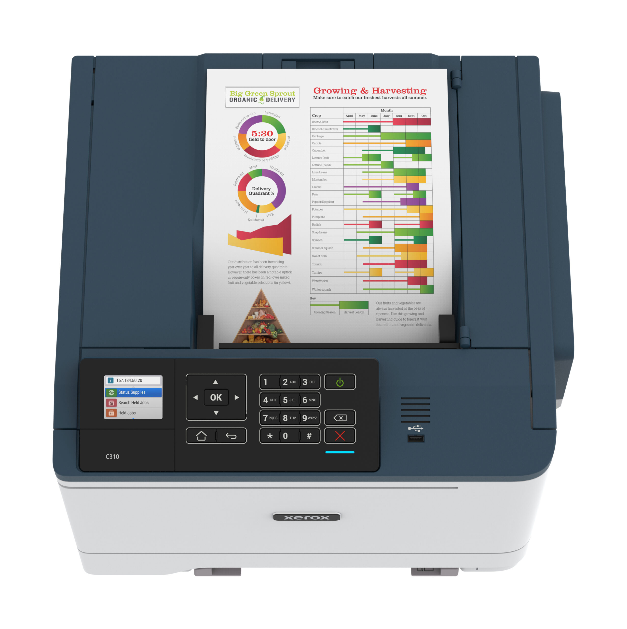 Xerox C310 Color Printer UK