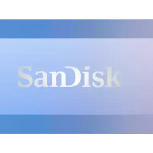 SanDisk Creator USB flash drive 256 GB USB Type-C 3.2 Gen 1 (3.1 Gen 1) Blue, Lilac