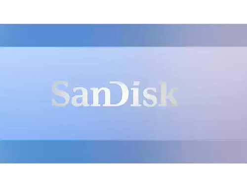 SanDisk Creator USB flash drive 256 GB USB Type-C 3.2 Gen 1 (3.1 Gen 1) Blue, Lilac