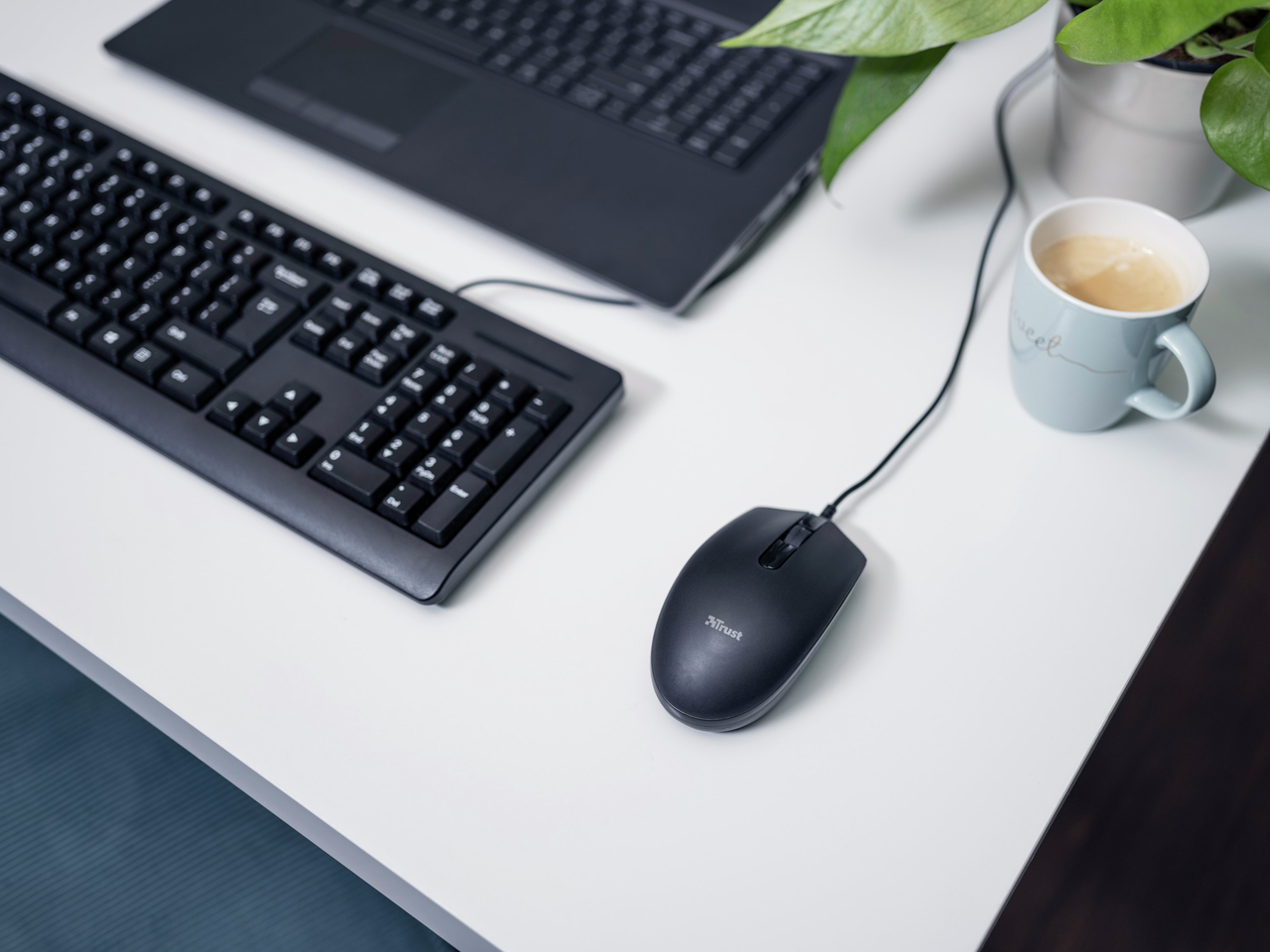 d4c0be4b54bc0ad0ecfdb6bd22a2d0cf Trust TM-101 mouse Office Ambidextrous Optical 1200 DPI