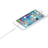 d5db7a79a2e47303152ce2dbc7fbbcbd Apple Lightning to USB Cable (1m)