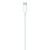 Apple USB-C to Lightning Cable (1m)