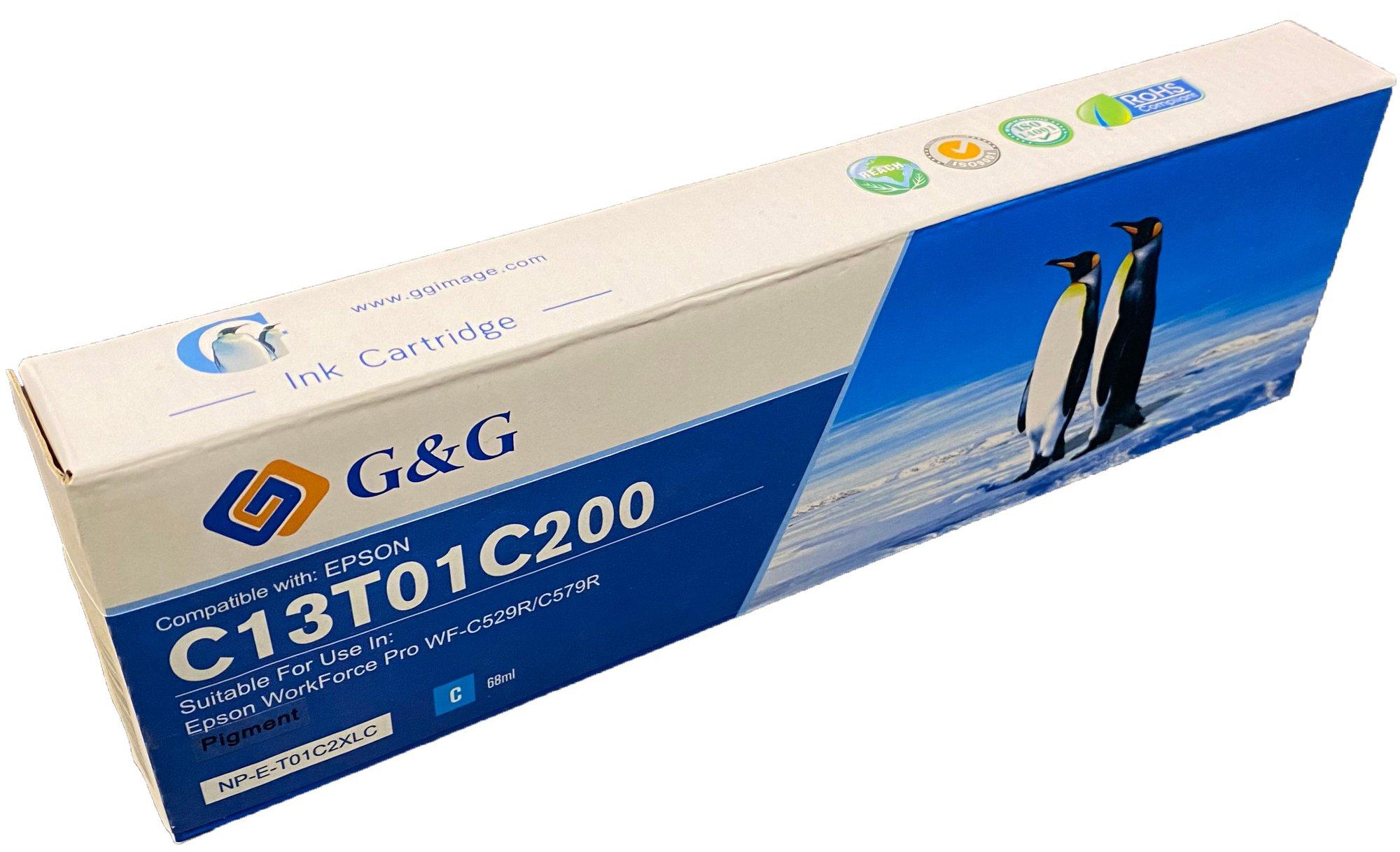 Compatible Epson G+G C13T01C200 Cyan Ink Ctg