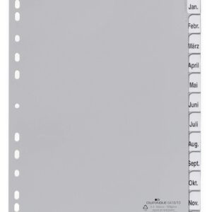 Durable 12 Part Removable Tab Index