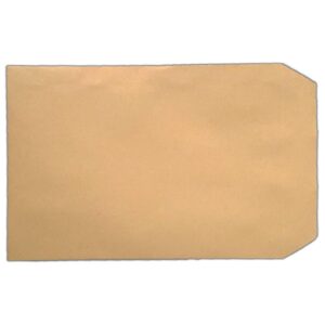 C5 Envelopes Plain Self Seal 80gsm Manilla (Pack of 500)