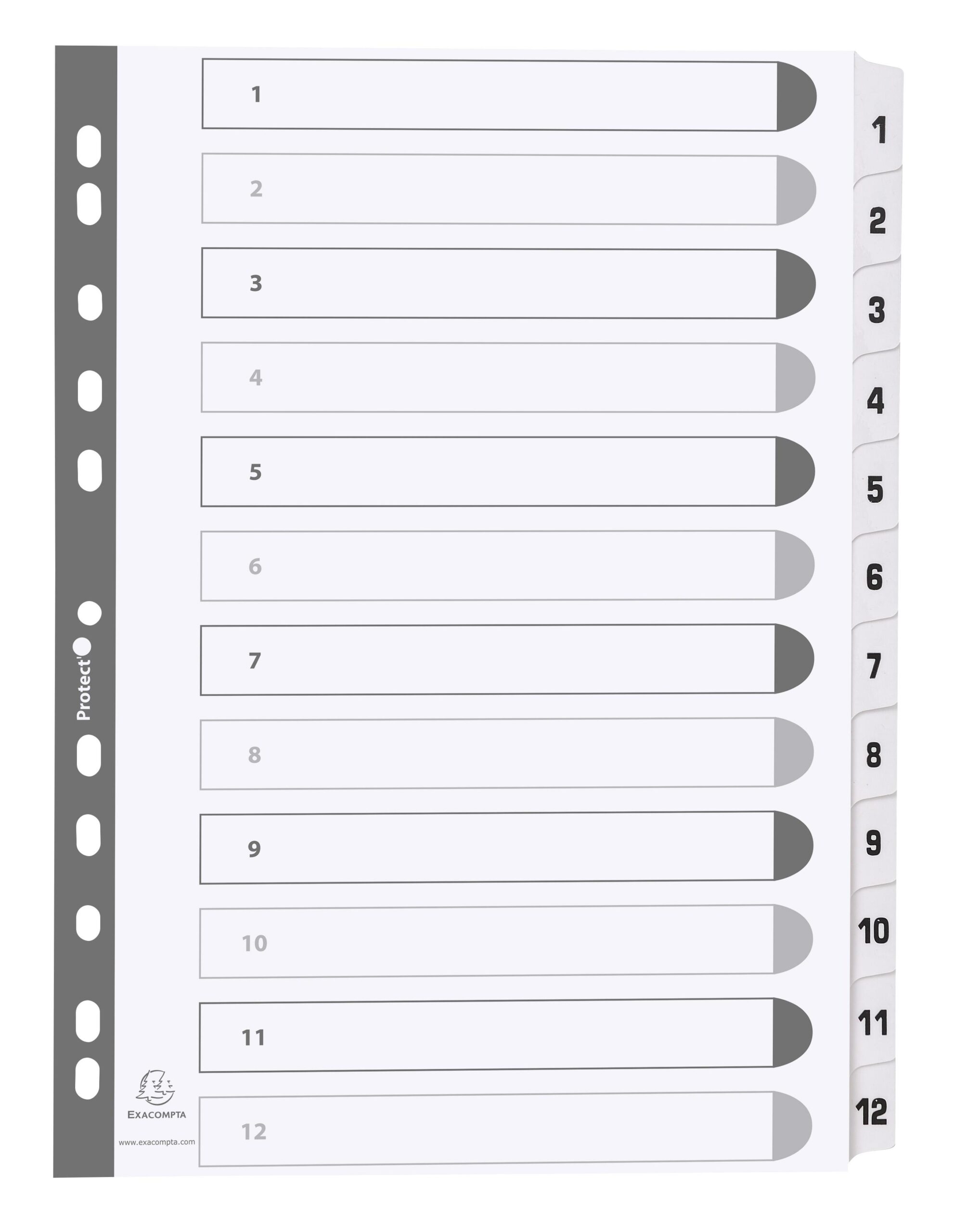Exacompta Mylar Printed 160 GSM Indices A4 12 Part 1 to 12 Numbered Tabs
